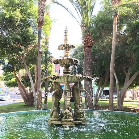 Erika 그란 타라할